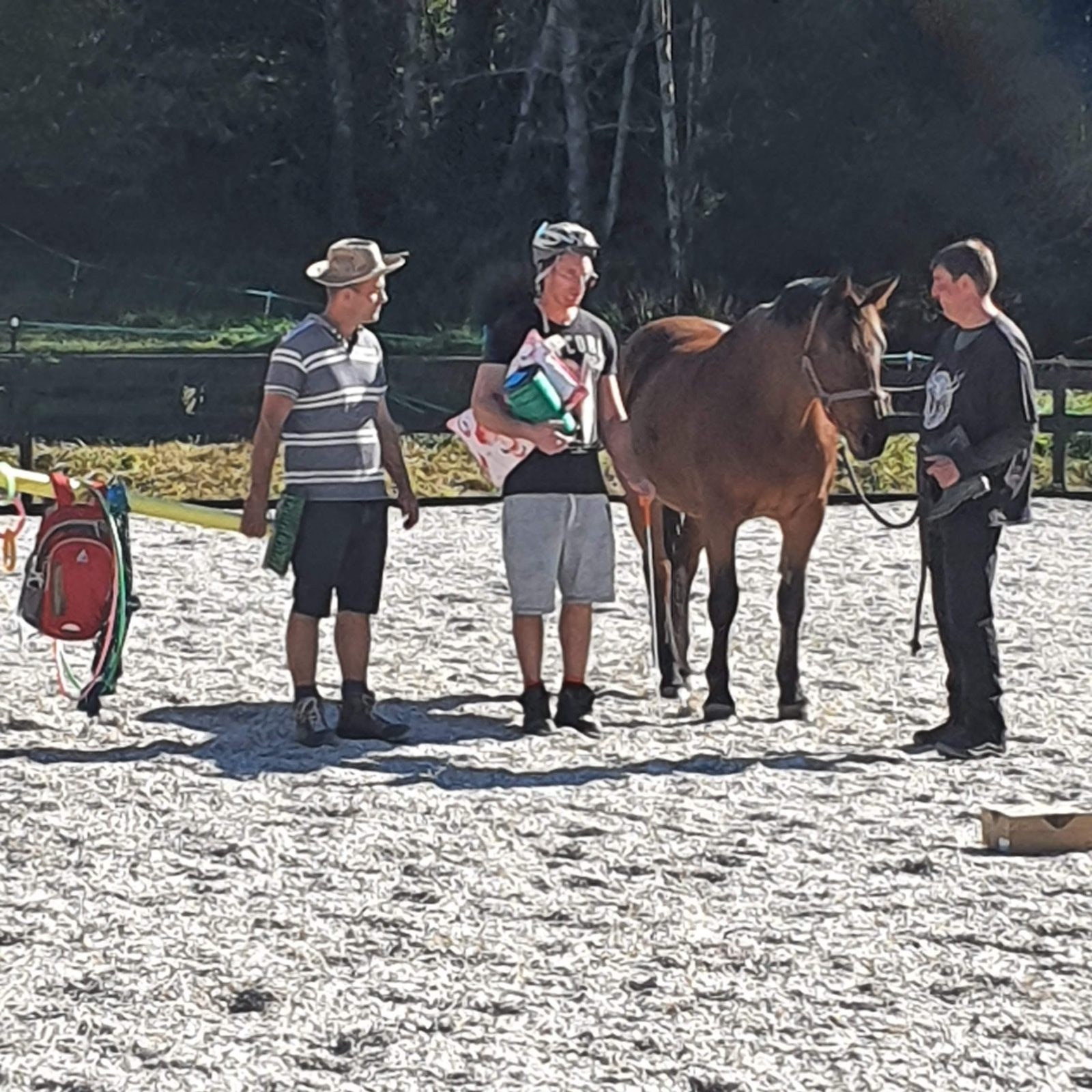 A guide and horse working with a participant