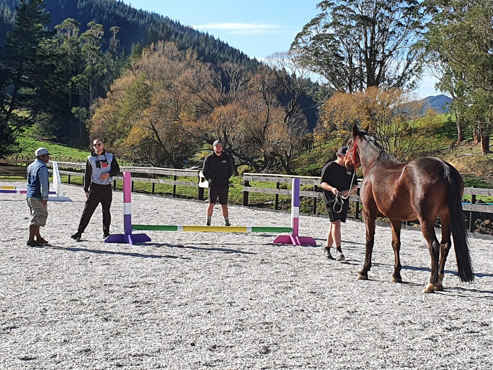 A team working with the herd at Serendipity Equine