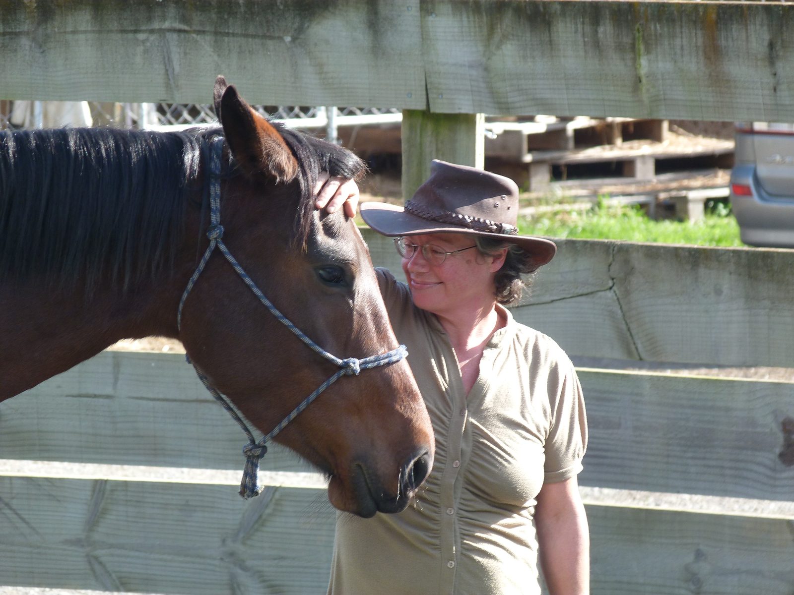 A quiet moment of connection between a participant and a horse