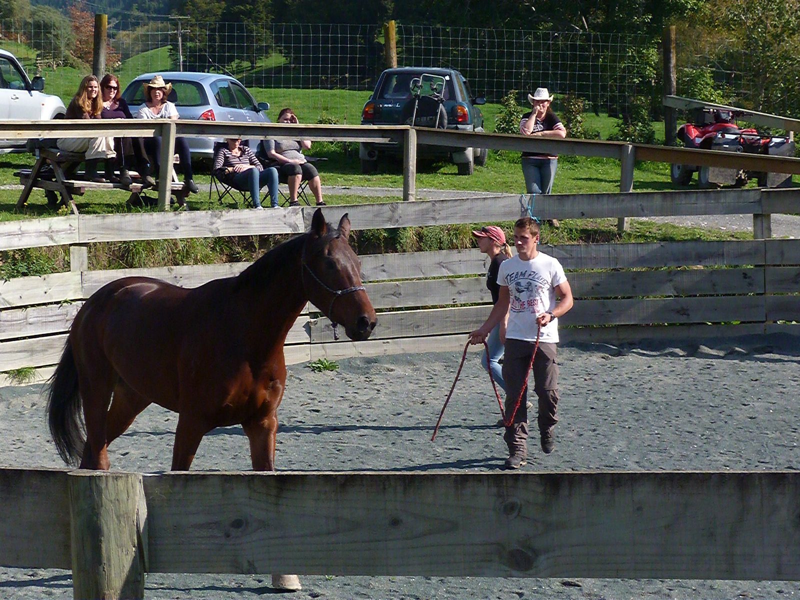 A participant guiding a horse through a leadership exercise